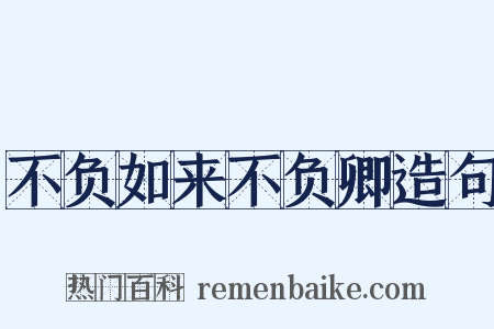 不负如来不负卿造句是什么意思的图片